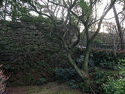 岡崎城の西側石垣